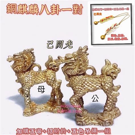 銅麒麟哪裡買|【千奇國際精品】手作 五帝錢如意銅麒麟 踩八卦一對 ️擋煞 避煞。